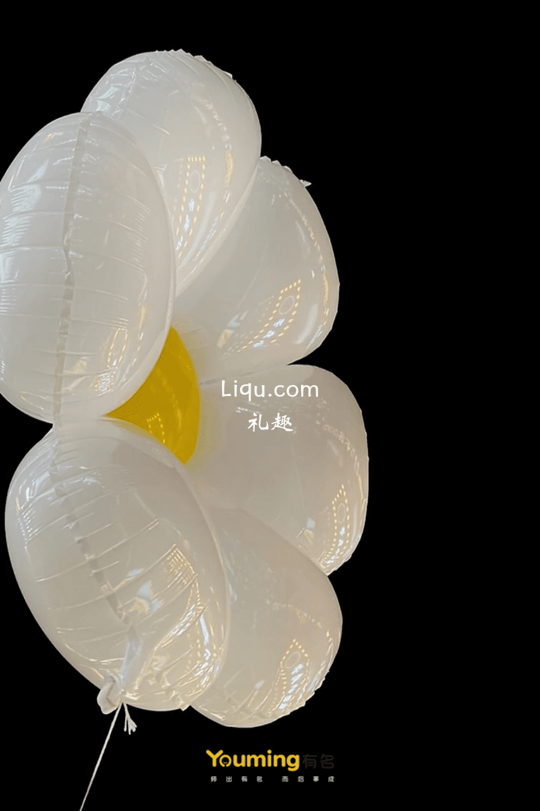 Liqu.com
